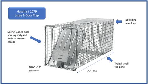 Best Humane Cat Traps Lost Pet Research And Recovery