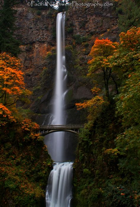 Multnomah Falls Oregon Places To Go Beautiful Places