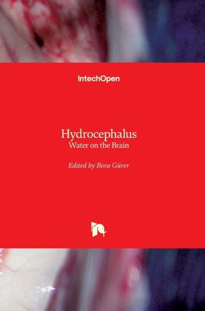 Hydrocephalus Water On The Brain By Bora Gürer Hardcover Barnes