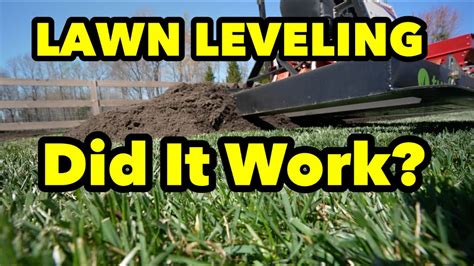 Tall Fescue Lawn Leveling Results Youtube