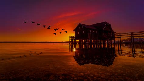 Lake House On Pier Birds Flying Sunset Scenery Hd Nature 4k