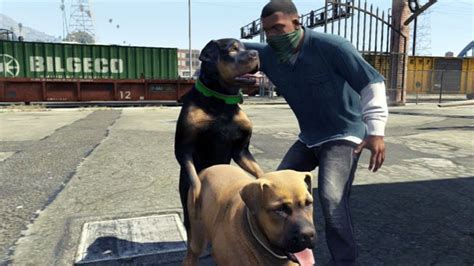 How To Play Gta V Like A Professional Game Informer