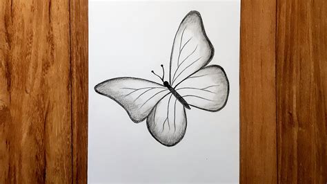 How To Draw Beautiful Butterfly Pencil Sketch For Beginners Karabi