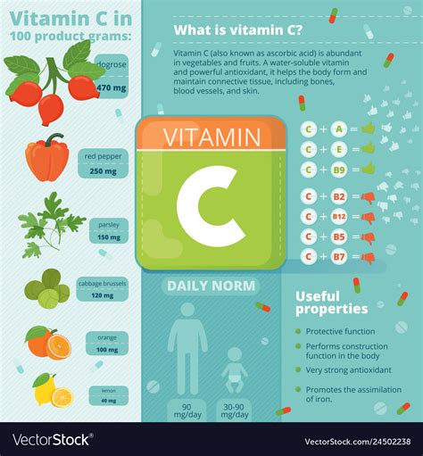 Useful Infographics Vitamin C Royalty Free Vector Image