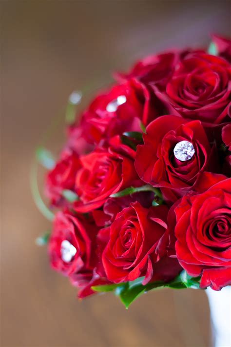 Red Roses Bridal Bouquet · Free Stock Photo