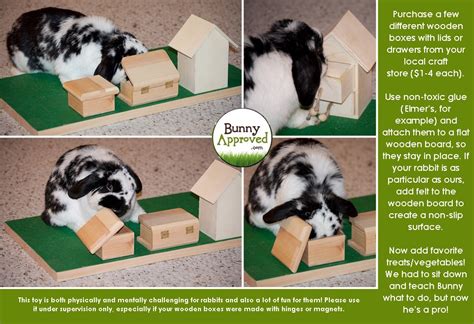 Homemade chicken & cranberry cat treats from all roads lead to the kitchen. Bunny Logic 101 - Rabbits are Smart! - Bunny Approved ...