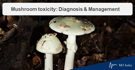 Mushroom Poisoning In India Diagnosis And Management