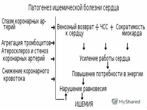 Презентация на тему: "ИБС. Нестабильная стенокардия. Острый коронарный Картинка - Презентация на тему: "ИБС. Нестабильная стенокардия. Острый коронарный