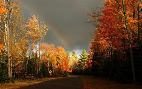 Pin By Susan Kostka On Nature And Scenic Photos Fall Facebook Cover