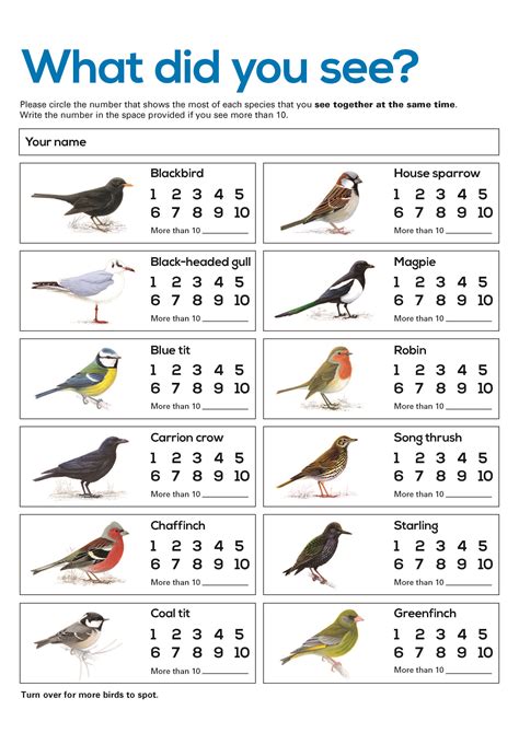 Bird Counting Sheet Free Resource For Big Schools Birdwatch Perfect