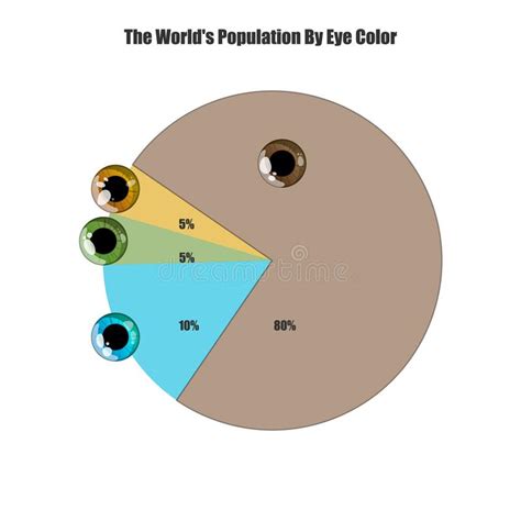 Graph The Percentage Of The Most Popular Eye Colors Worldwide Stock