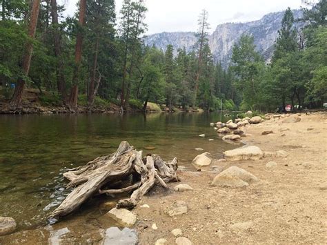 Upper Pines Campground Reviews Yosemite National Park Ca