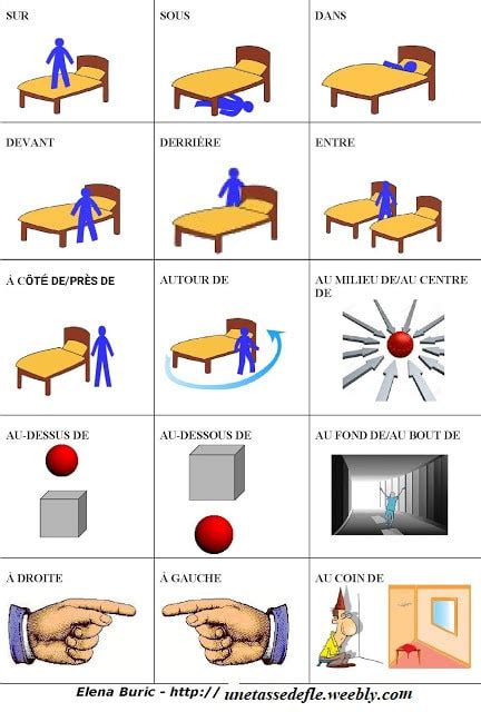 Jeux En Ligne Pour Apprendre Les Prépositions De Lieu Une Tasse De Fle