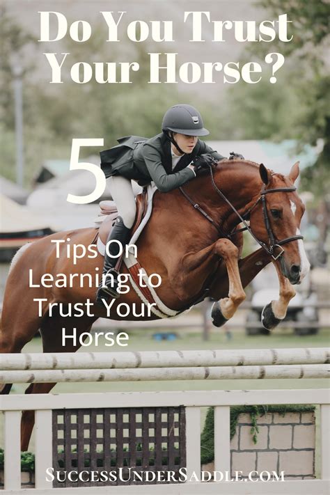 How To Trust Your Horse Horses Horse Ownership Horse Riding