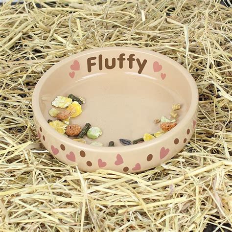 A wide variety of pig food bowl options are available to you, such as charge, battery. 1000+ images about Guinea pig on Pinterest | Pet carriers ...