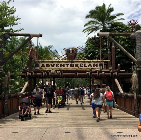 36 Things You Didnt Know You Could Do At Walt Disney World