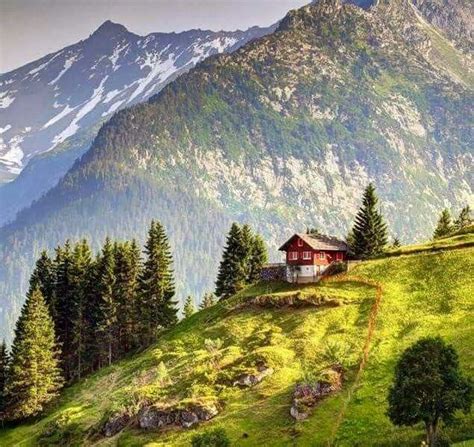 Mountain Cabin Swiss Alps Switzerland Turizm Manzara Geziler