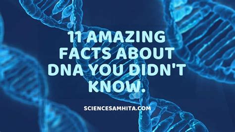 11 Amazing Facts About Dna You Didnt Know Dna Facts Dna Diagnostics