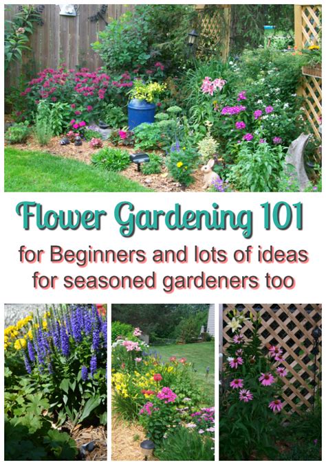 Flower Gardening 101 For Beginners And Lots Of Ideas For Seasoned