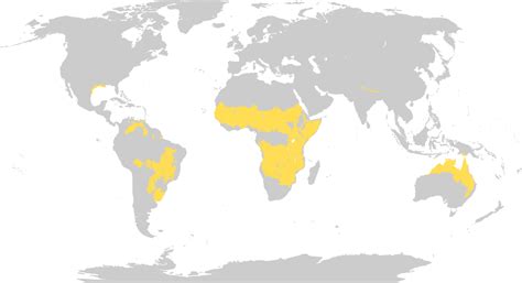 Tropical And Subtropical Grasslands Savannas And Shrublands Wikipedia