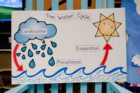 Water Cycle For First Graders