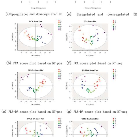 Upregulated And Downregulated DE Metabolites PCA Score Plots PLS DA