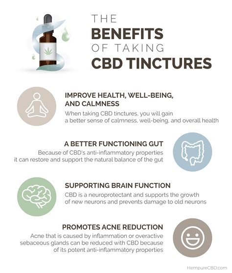 Should You Be Putting Cbd In Food And Drink Hempure