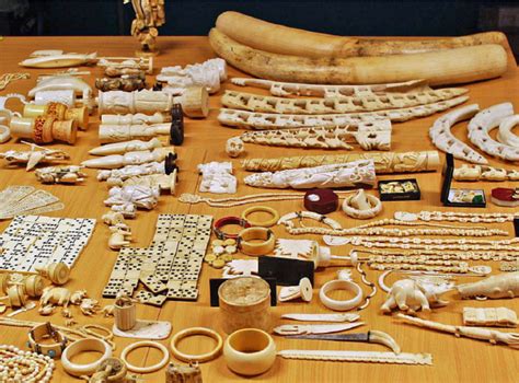Ivory Owners Are Urged To Do Their Bit For Elephants The Independent