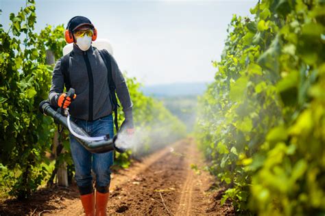 Agriculture Worker Young Farmer Spraying Pesticides
