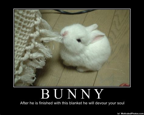 Kinky Bunny Easter Report Ultrafeeltv
