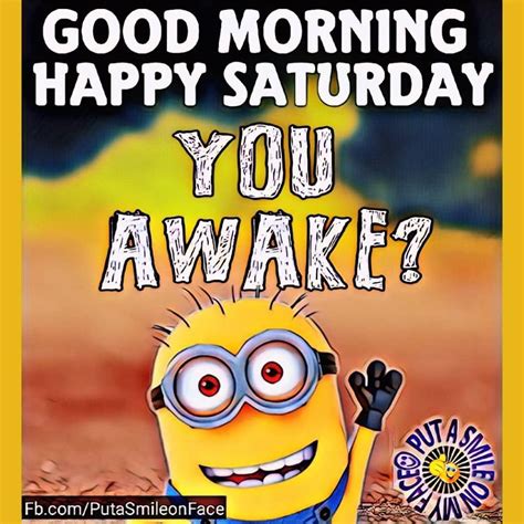 You Awake Good Morning Happy Saturday Minion Image Pictures Photos