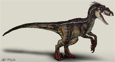 Male Velociraptor From Jurassic Park 3 Dinosaurios Jurassic World Dinosaurios Jurassic Park