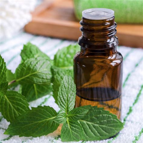 Take a selfie with your oils & email to support@essentialoillabs.com for your chance to win! The 7 Best Essential Oil Brands - AromEssential (2019)