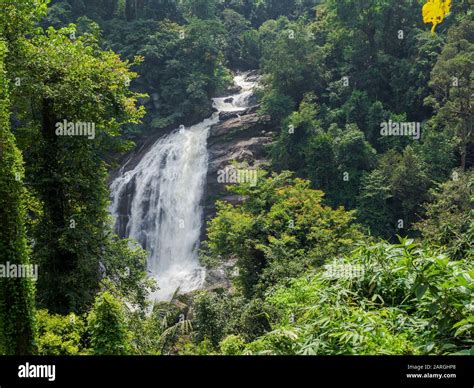 Steep Waterfall In Indian Rainforest Jungle In Kerala South India On