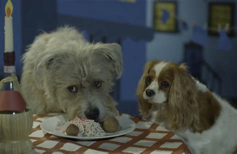 Disneys Lady And The Tramp To Use Real Dogs For Live
