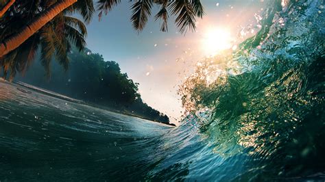Download Wallpaper 1366x768 Water Splashes Palm Tree Sea Waves Tide