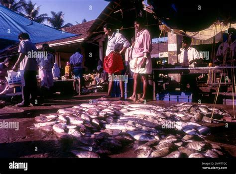 Fish Market In Kochi Kerala India Asia Stock Photo Alamy