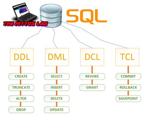 Curso completo de SQL básico Comandos SQL The Hittos Lab