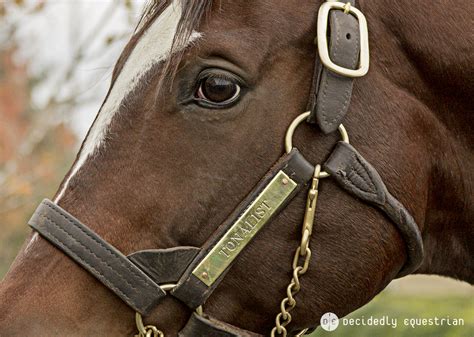 Lexington Decidedly Equestrian