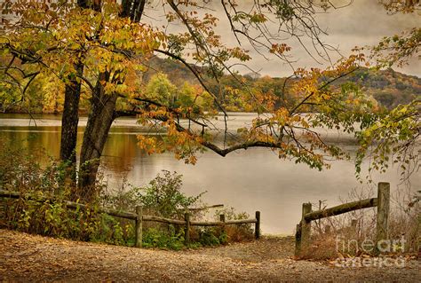 Autumn At Radnor Lake Photograph By Cheryl Davis Fine Art America