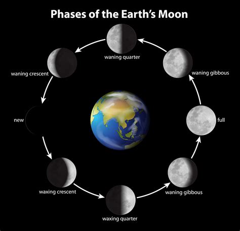 Fases De La Luna Imagenes Imagesee