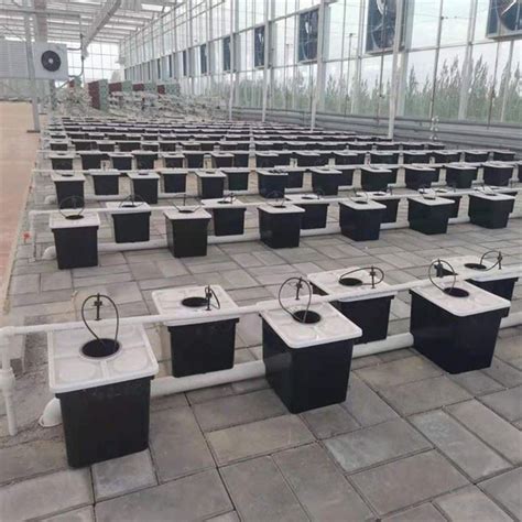 China Bato Dutch Bucket For Greenhouse Substrate Suppliers