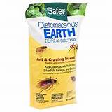 Diatomaceous Earth And Bed Bug Control Pictures