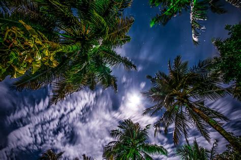 Tropical Night Sky Photograph By Jenny Rainbow Fine Art America