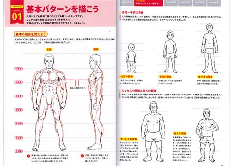 Tools techniques and tips to bring your muscles back to health. How to Draw Muscles From Structure To Movement Reference Book - Anime Books