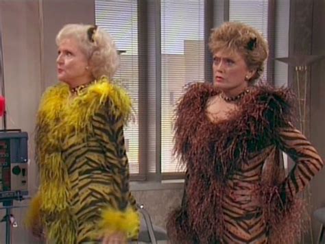 Golden Girls S4e5 Rose And Blanche In Their Cats Costumes Cat Girl