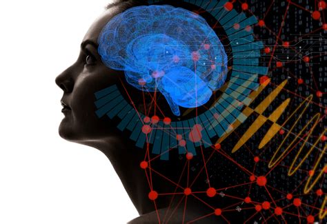 EEG In Neurological Disorders Sapien Labs Neuroscience Human Brain Diversity Project