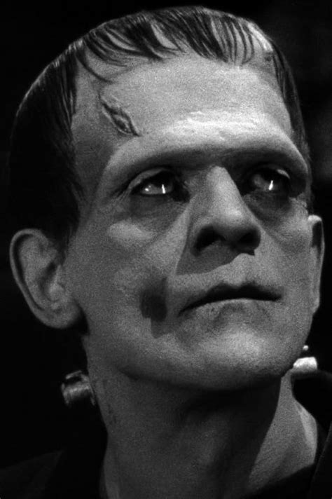 Slobberdrool Drip — Karloff As The Monster Frankenstein 1931