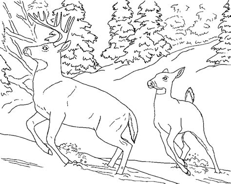 You can use our amazing online tool to color and edit the following deer hunting coloring pages. Deer Coloring Pages - Kidsuki