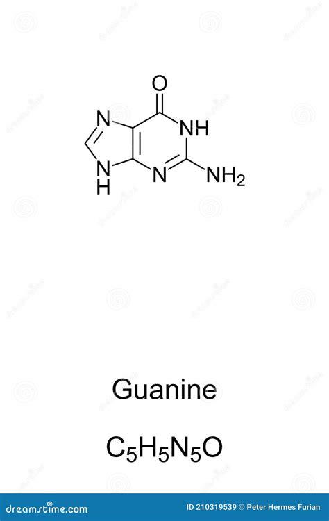 Guanine G Gua Nucleobase Chemical Formula And Skeletal Structure Stock Vector Illustration